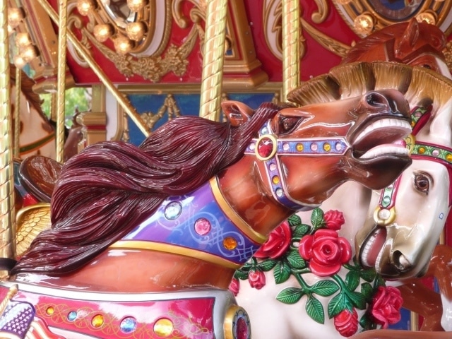 The-Carousel-Horses.jpg-nggid03149-ngg0dyn-0x480-00f0w010c010r110f110r010t010
