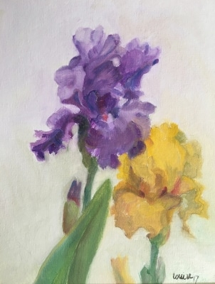 Purple and Yellow Irises